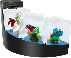 Filtre cascade Aquaya pour aquarium jusqu'à 90L - Blanc ou noir